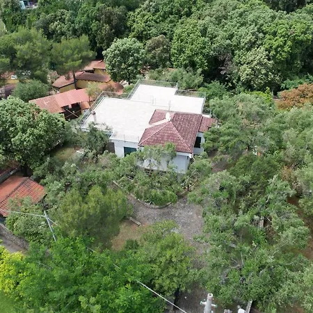 Villa Irma-3