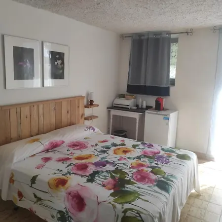 Villa Irma-2